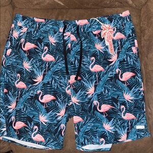 Tropical Flamingo Swim Board Shorts - Pink & Blue